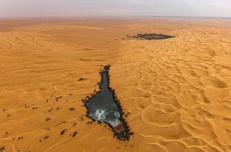 Що таке оазис: визначення, особливості та значення в природі