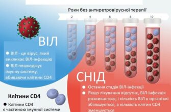 Різниця між ВІЛ та СНІД: що потрібно знати для захисту себе