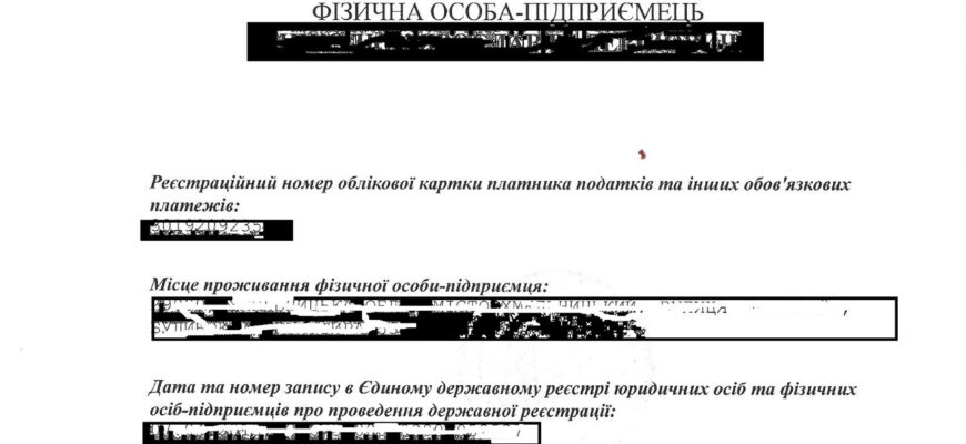 Виписка і витяг з ЄДР: різниця, значення та використання документів