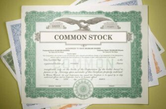 Що таке акції: просте пояснення для початківців у світі інвестицій