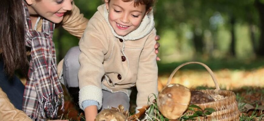 Осінній відпочинок: найкращі ідеї для незабутніх вихідних