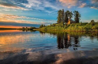 Відмінності між озером та ставком: ключові аспекти і пояснення