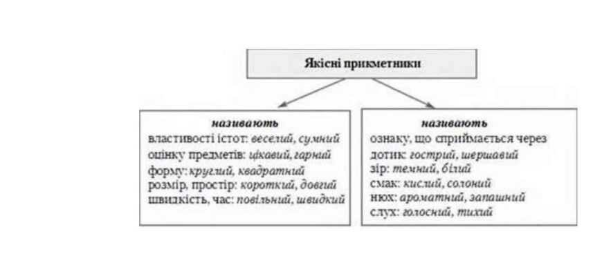 “Що таке прикметник: визначення, приклади та вживання у мовленні”