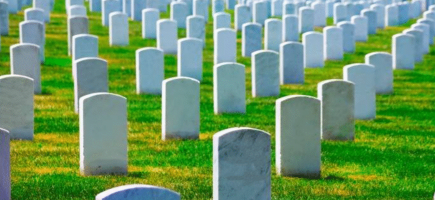 Різниця між цвинтарем і кладовищем: ключові відмінності поняття