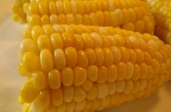 Чи варто готувати заморожену кукурудзу: поради та рекомендації