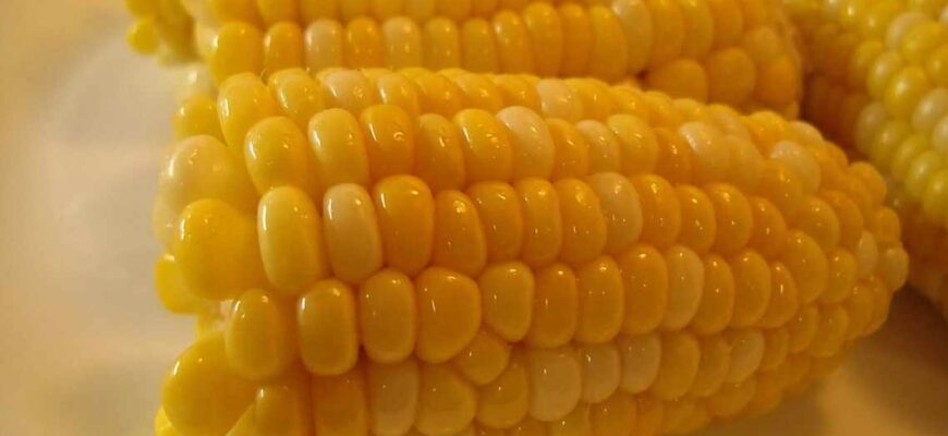 Чи варто готувати заморожену кукурудзу: поради та рекомендації