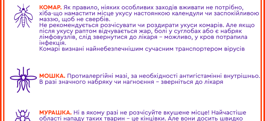 Укуси комах: як надати першу допомогу ефективно та швидко