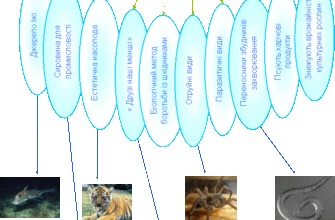 Яку роль відіграють тварини в нашому повсякденному житті?