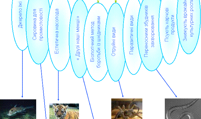 Яку роль відіграють тварини в нашому повсякденному житті?