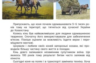 Як сучасно використовують коней: тренди та нові можливості застосування