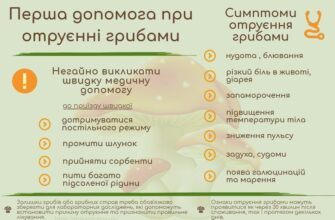Перша допомога при отруєнні грибами: поради, які рятують життя
