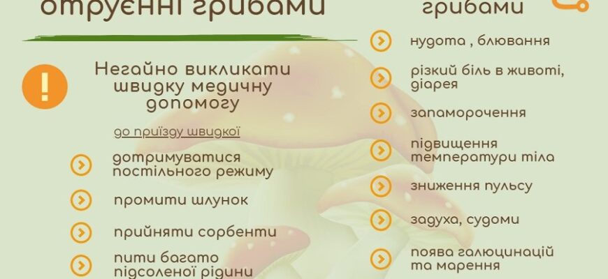 Перша допомога при отруєнні грибами: поради, які рятують життя