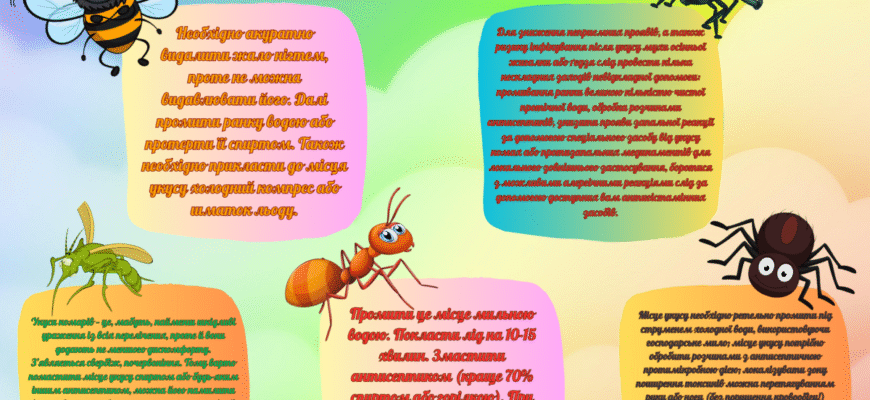 Перша допомога при укусах комах: ефективні поради та рекомендації Перша допомога при укусах комах: ефективні поради та рекомендації