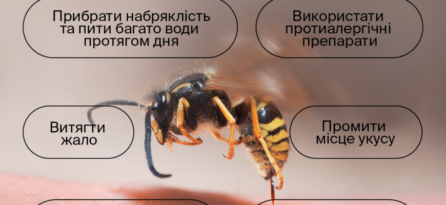 Ефективна перша допомога при укусі бджоли: покрокова інструкція