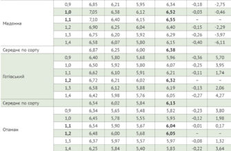 Середня врожайність гороху: що впливає на показники в Україні?