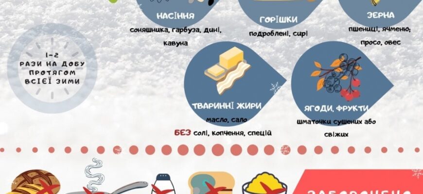 Заборонені продукти для годівниці: що не підійде птахам?