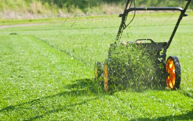 Ефективні способи зрізання трави на ділянці: кращі інструменти та поради