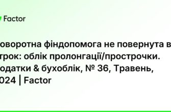 Поворотна фінансова допомога не повернута в строк: наслідки та рішення