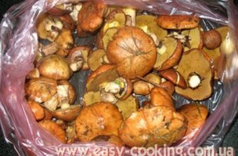 Як готувати маслюки: смачні рецепти та поради для кухарів