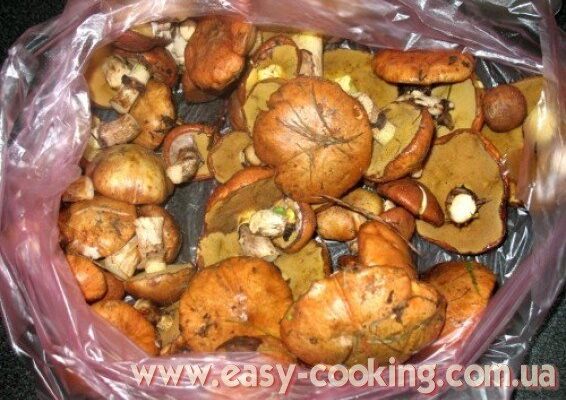 Як готувати маслюки: смачні рецепти та поради для кухарів