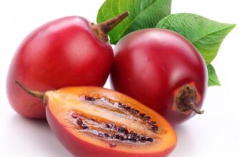 Тамарілло: як їсти фрукт та насолоджуватися його користю