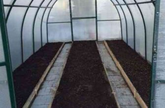 Чи безпечно та ефективно мити теплицю білизною: практичні поради