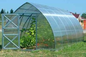 Чи безпечно та ефективно використовувати хлорку для обробки теплиць?