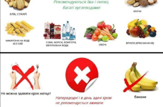 Чи можна їсти перед здачею крові: важливі рекомендації для донорів