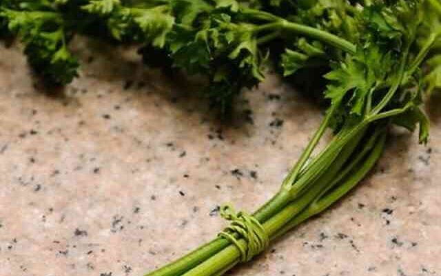 Чи безпечно вживати петрушку в сирому вигляді: користь та ризики?