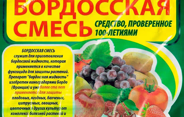 Як правильно розвести Бордоську суміш для обприскування смородини: інструкція