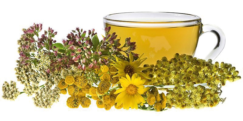 Як ефективно активувати нирки: методи для покращення їх функцій