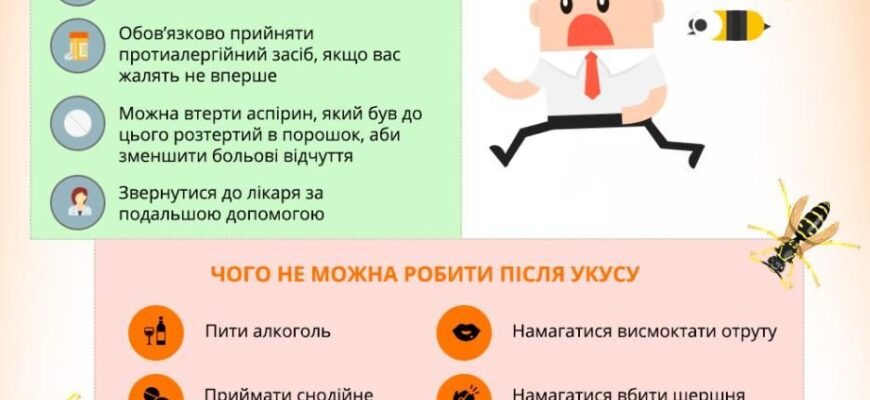Перша допомога при укусі шершня: як діяти правильно та швидко