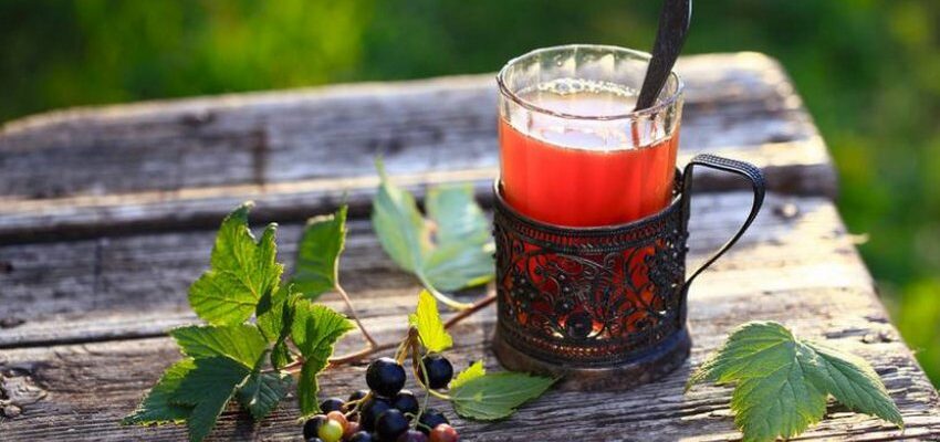 Як правильно і ефективно заготовити листя смородини: поради і техніки