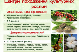Скільки існує видів культурних рослин на Землі: детальний огляд
