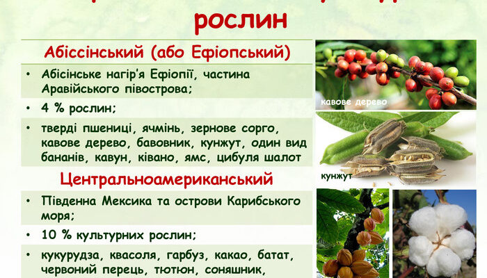 Скільки існує видів культурних рослин на Землі: детальний огляд