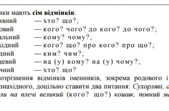 У якому відмінку вживається прикметник «великий»: повний огляд