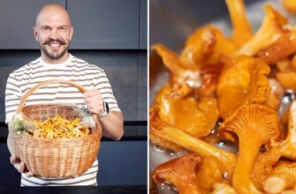 Лисички: дізнайтеся, як готувати смачні страви вдома