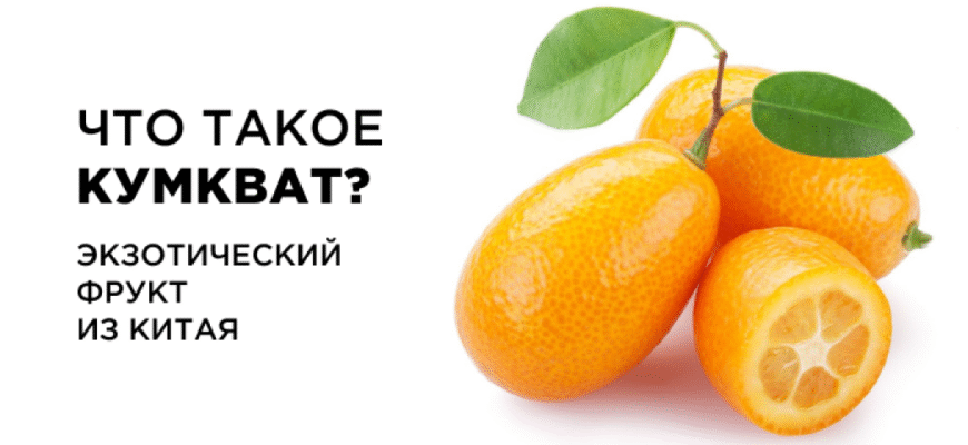 Фрукт кумкват: як правильно їсти та насолоджуватися смаком