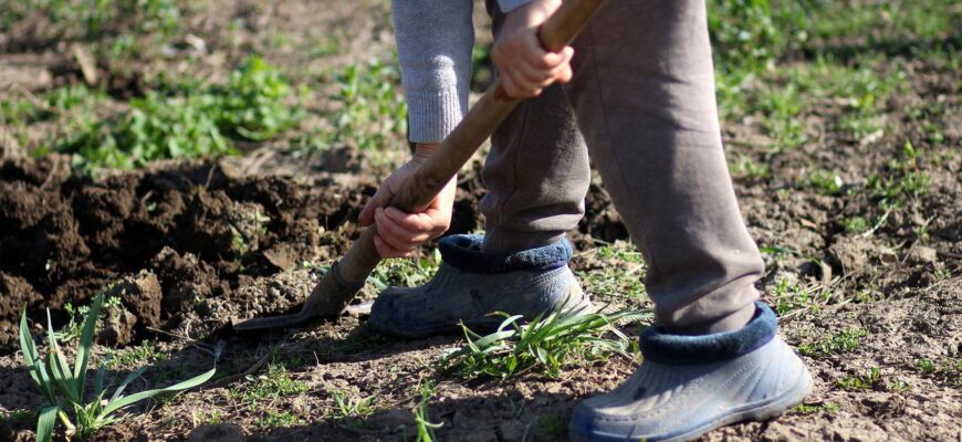 Як ефективно розвести сірку для обприскування: крок за кроком інструкція