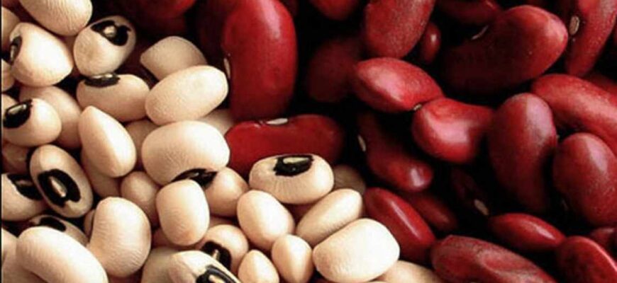 Як правильно замочити квасолю перед посадкою для кращого врожаю