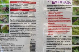 Як правильно розвести сірку для обприскування вашого винограду