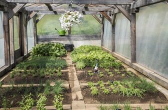 Дешеві варіанти покриття для теплиці: практичні рішення