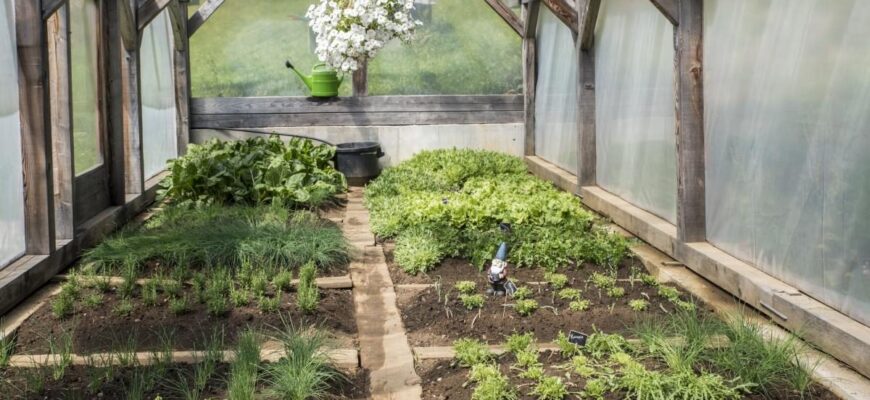 Дешеві варіанти покриття для теплиці: практичні рішення