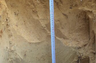 Підзолисті ґрунти: речовини та корисні властивості для сільського господарства