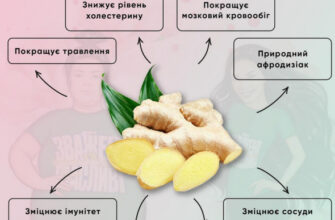 Як імбир спалює калорії: природні секрети схуднення та енергії