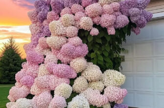 Як ефективно розмножити гортензії навесні: поради та методи