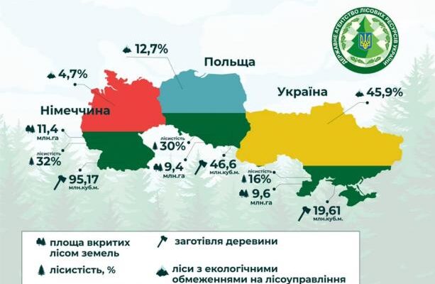 В якій країні ліси займають найбільшу площу: топ країн світу
