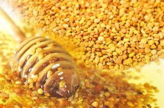 “Як пилок стає медом: процес перетворення бджолиного нектару”