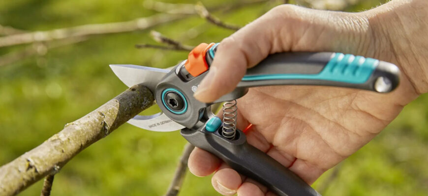 Найкращі секатори для саду: огляд та рекомендації для вибору