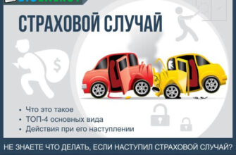 Що покриває страховка: детальний огляд випадків для виплат клієнтам